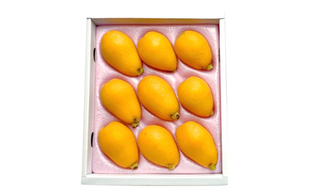 【高島屋選定品】【先行予約】九州屋 茂木 びわ 400g（ 2Lサイズ 9粒入）＜高島屋＞ [CFQ061]