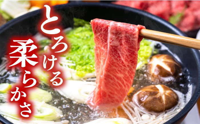 【厳選部位】 【A4～A5】 長崎和牛 サーロイン しゃぶしゃぶ すき焼き 用  約300g＜株式会社MEAT PLUS＞ [CFT006]