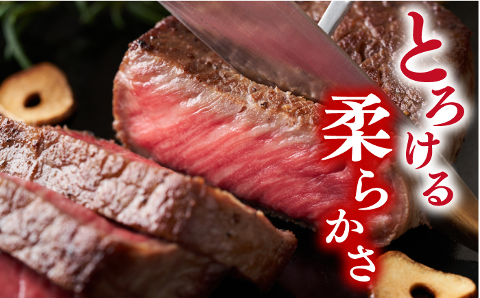 【A4～A5】 長崎和牛 モモステーキ 約1.5kg（100g×15p）＜株式会社MEAT PLUS＞ [CFT014] 長崎 和牛 国産牛 ブランド牛 ステーキ モモステーキ 小分け