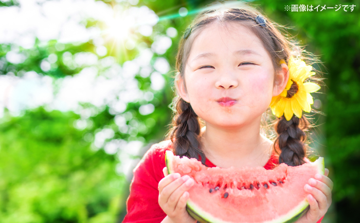 すいか 【先行予約：2026年7月中旬より配送】  銀河2玉 （1玉当たり6〜8kg）＜武藤農園＞ [CFV008] 甘い 大玉 スイカ 旬 ギフト プレゼント 果物 夏 フルーツ 夏 スイカ すいか 先行予約 2026年 長崎県 西海市