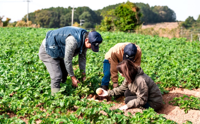 勝田農園のおまかせじゃがいも約10kg（種類・サイズ混合）＜勝田農園＞ [CGM004]