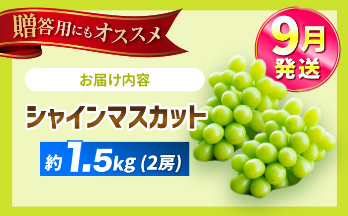 【2025年9月発送】 シャインマスカット 約1.5kg（2房）大粒 皮ごと 種なし＜濱崎農園＞ [CGN005]