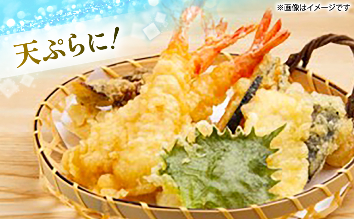 五島灘のきらめき計300g（100g×3袋）＜ダイヤソルト株式会社＞ [CGS001]