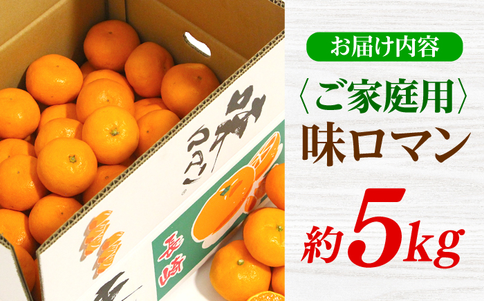 【ご家庭用】長崎味ロマン みかん 約5kg＜長崎西彼農業協同組合＞