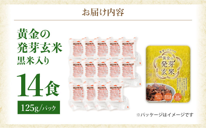 【2026年2月より順次発送】【農家のこだわり米】黄金の発芽玄米 黒米入り パックご飯 125g×14食＜AgriBaseさいかい＞[CGV002]
