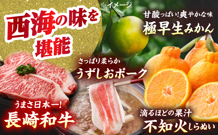 【12回定期便】お肉と果物～見つけた！西海の宝物定期便～ [CZZ019]  みかん サーロイン