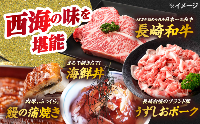 【6回定期便】お肉と海の幸～見つけた！西海の宝物定期便～ [CZZ021] 西海市 定期便 月替わり 長崎和牛 サーロイン さーろいん ステーキ 鰻 うなぎ