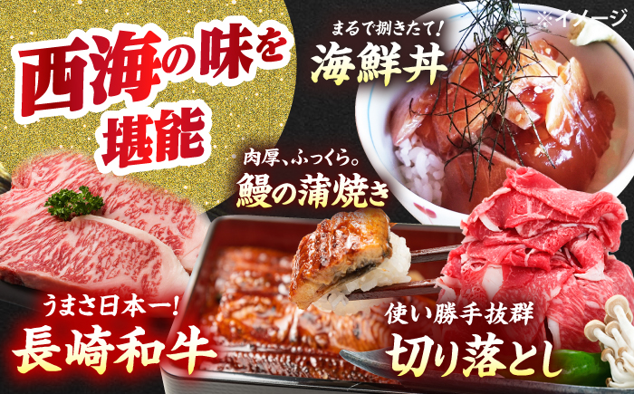 【12回定期便】お肉と海の幸～見つけた！西海の宝物定期便～ [CZZ022]