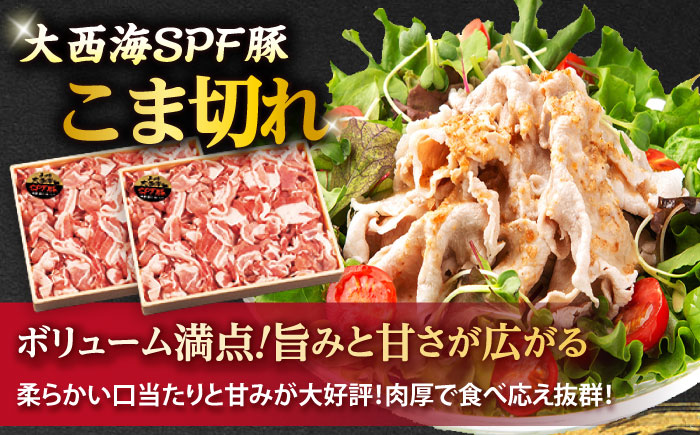 【3回定期便】上位人気返礼品～見つけた！西海の宝物定期便～ [CZZ023] サーロイン