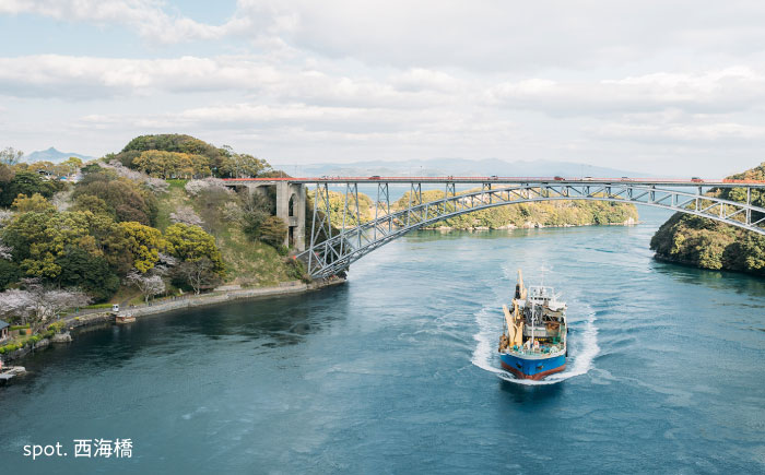 【返礼品なし】 長崎県 西海市 ふるさと応援寄附金（100,000円分） [CZZ036]