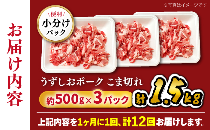 【12回定期便】長崎うずしおポーク 計1.5kg（約500g×3パック） 訳あり ＜スーパーウエスト＞［CAG018］豚肉 ぶたにく 切り落とし