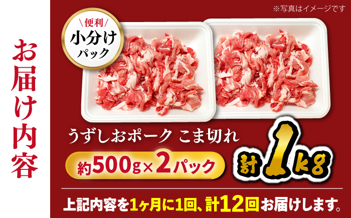 【12回定期便】【使い勝手◎】長崎うずしおポーク こま切れ 計1kg（500g×2P）＜スーパーウエスト＞ [CAG313] 豚肉 国産 SPF豚