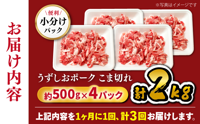 【3回定期便】【使い勝手◎】長崎うずしおポーク こま切れ 計2kg（500g×4P）＜スーパーウエスト＞ [CAG315]