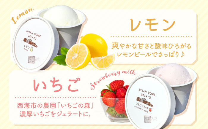【年中人気】 おまかせジェラート 6個 ＜みかんドーム＞ [CAI025]