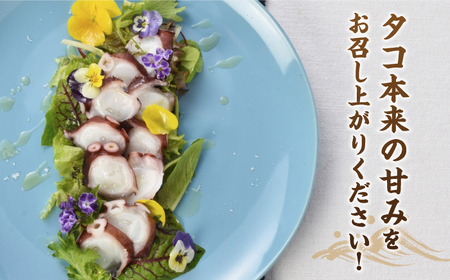 【ボイル済みの天然タコ！】ゑべす蛸3匹（計1.5kg）＜大瀬戸町漁協＞ [CAR007]