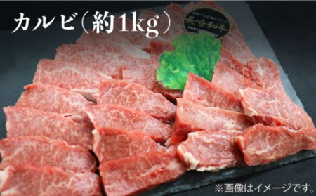 【焼肉大会】【6回定期便】長崎和牛 焼肉用部位×6回定期便＜株式会社黒牛＞ [CBA048]