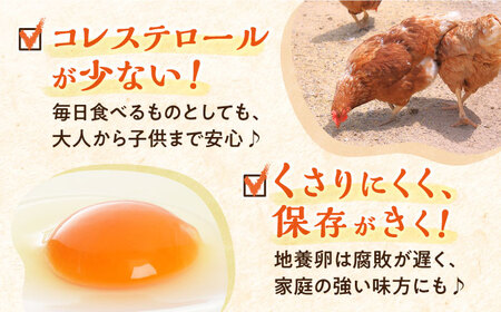【黄身がつかめる最高級の卵】【12回定期便】かきやまの「地養卵」 Mサイズ 40個×12回定期便＜垣山養鶏園＞ [CBB020] 卵 たまご タマゴ たまご