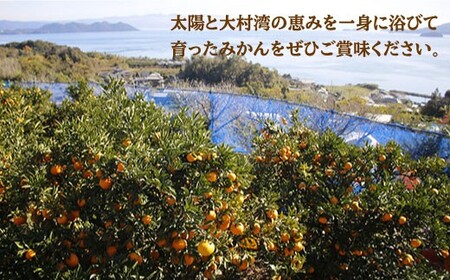 【ご家庭用】 はれひめ 約4kg（サイズ混合）＜広津農園＞ [CBN003] 長崎 西海 みかん ミカン 蜜柑 オレンジ