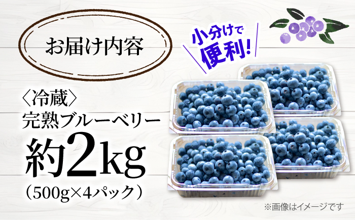 【2026年6月中旬より順次発送】【栽培期間中 農薬不使用】完熟 ブルーベリー 計2kg＜広津農園＞ [CBN009]  ブルーベリー ぶるーべりー 果物 フルーツ 生ブルーベリー