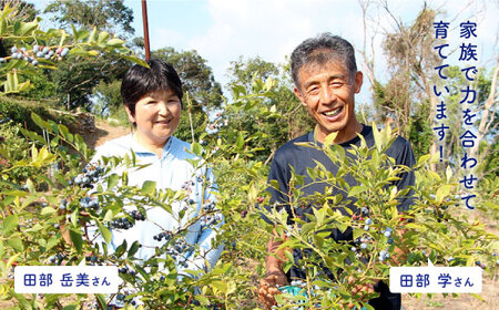 【TVで話題！】【☆先行予約☆】青切りシークワーサー2kg（110～150個）＜広津農園＞ [CBN011]