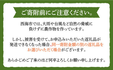 【 新米先行予約 】2025年10月より順次発送【3回定期便】 ひのひかり 白米 ＆ 玄米 計4kg（各2kg）＜ハマソウファーム＞ [CBR030]