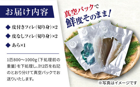 【下処理済みで安心！】 ヒラメ 堪能5点セット＜大島水産種苗＞ [CBW001] 魚 魚介類 ブロック