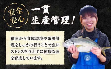 【下処理済み】 トラフグ あら 約480g（240g×2パック）＜大島水産種苗＞ [CBW009] フグ 魚介類