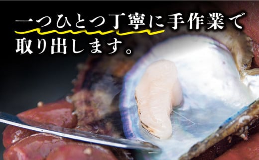 ※数量限定※【先行予約☆幻の味】真珠貝（アコヤ）の貝柱約1kg【生食可】＜西彼町漁協＞ [CBZ007]