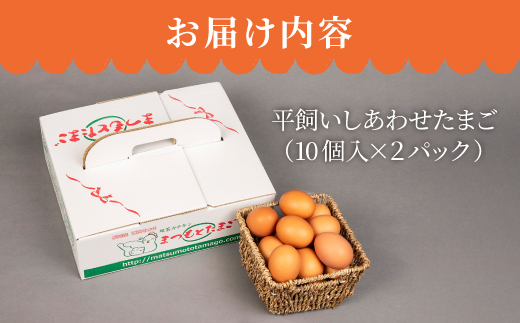 【月1回20個×12回定期便】平飼い「しあわせたまご」計240個＜松本養鶏場＞ [CCD031]
