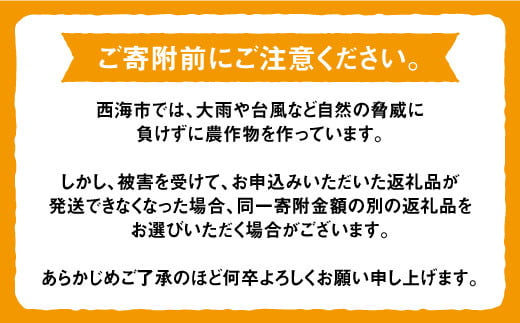 【訳あり】西海1号 温州 みかん 約10kg（優品/Mサイズ）＜西海柑橘農業協同組合＞[CCF001]