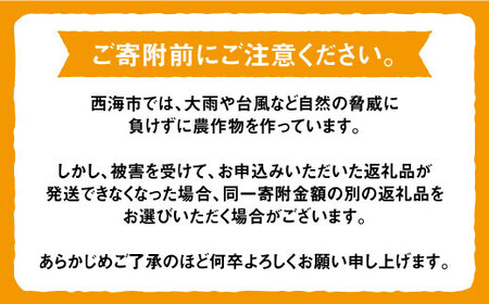 【先行予約☆限定20箱】西海1号 温州 みかん 約5kg（秀品/Mサイズ）＜西海柑橘農業協同組合＞ [CCF005]