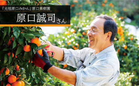 【糖度12度以上！】 原口みかん ジュース 1L ＜大島造船所 農産グループ＞ [CCK014] 長崎 西海 みかん ミカン ジュース 贈答 ギフト