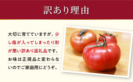 2025年収穫分先行予約】【 訳あり 】 大島トマト 特選「ルビーのしずく」約1.2kg【数量限定】＜大島造船所 農産グループ＞ [CCK025]:  西海市ANAのふるさと納税