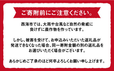 【2月より順次発送】【糖度7度の果実】キッス トマト （ばら詰め）約3kg＜大島造船所 農産グループ＞ [CCK026]