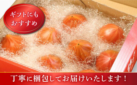 【2026年3月より配送開始】【2回定期便】糖度9度以上！ 大島 トマト 特選「ルビーのしずく」約1.2kg＜大島造船所農産G＞ [CCK030]