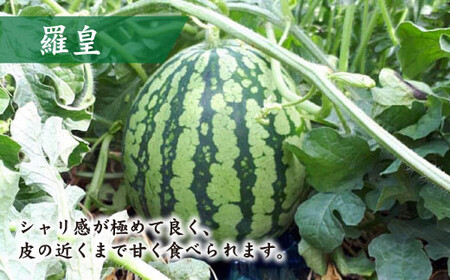 【どれが届くかな？】面高すいか約6kg×2玉＜太田幸男＞ [CCN002]