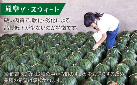 【先行予約☆金色vs赤色すいか食べ比べ】金色羅王＆面高すいか（6kg×2玉）＜太田幸男＞ [CCN010]