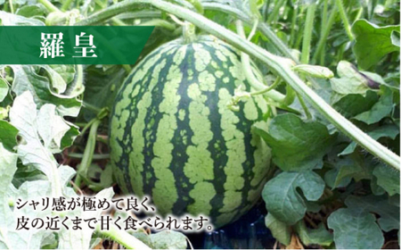 【どれが届くかな？】 面高すいか 約7kg×1玉 ＜太田幸男＞ [CCN017]