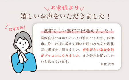 【11月下旬より配送】【優】原口みかん 約4kg（傷み保証分200g含む）＜川添みかん園＞ [CCT001] みかん ミカン 柑橘 西海みかん 西海 贈答 ギフト 贈り物