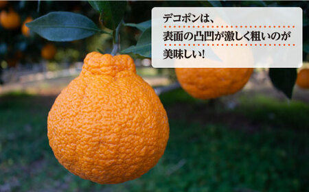 【☆先行予約☆】糖度13～15度！ハウス木成完熟デコポン（不知火）約3kg＜原口果樹園＞ [CCW005] みかん