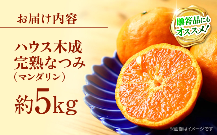 【☆先行予約☆】【1年越しの出会い】ハウス木成完熟なつみ（マンダリン）約5kg＜原口果樹園＞ [CCW006] みかん