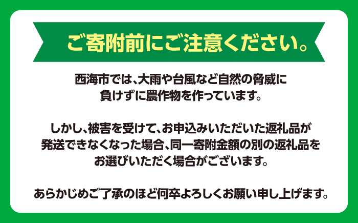【☆先行予約☆】西海市産アボカド2個（計500～600g）＜原口果樹園＞ [CCW011]  長崎 西海 アボカド あぼかど 野菜 アボカド 健康 スムージー 栄養 贈答 ギフト