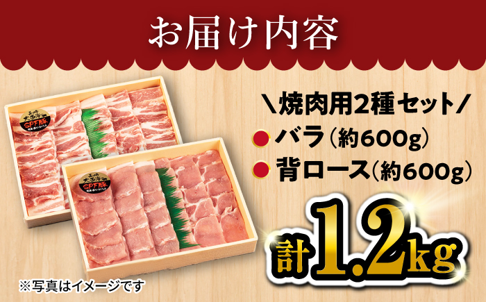 大西海SPF豚 背ロース＆バラ（焼肉用）計1.2kg（各600g） 訳あり ＜大西海ファーム＞ [CCY007] 豚肉