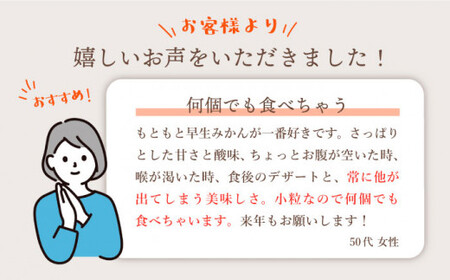 【10月中旬より発送】極早生みかん（岩崎・上野）約5kg＜Da・IWASAKI FARM＞ [CCZ002]