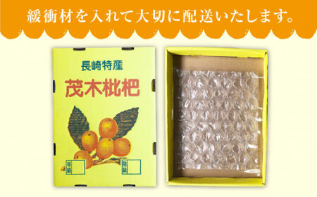 【数量限定】 びわ （長崎早生） 約1kg ＜谷添正義＞ [CDM001]