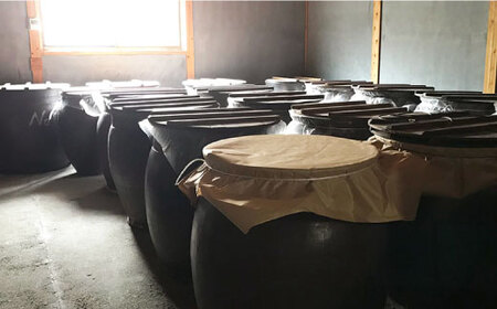 【月1回6種×6回定期便】飲む玄米酢 酢らり 計36本＜川添酢造＞ [CDN018]