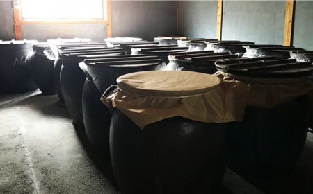 【あいがも農法米使用】飲む酢（巨峰/赤）＆純米酢 各1本＜川添酢造＞ [CDN022]