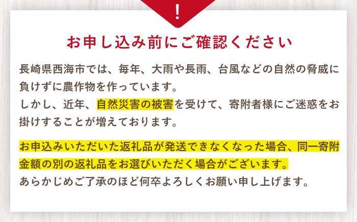 【先行予約】「訳あり」 ゆめのか（苺）計1kg（250g×4パック）＜川原農園＞ [CDR001] 長崎 西海市産 いちご 苺 イチゴ