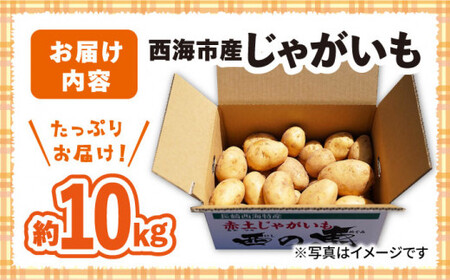 【先行予約】【2026年5月下旬より順次発送】 西海市産 じゃがいも 約10kg ＜ファームまるだ＞ [CDT002]