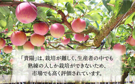 【プラムの王様】 貴陽 （きよう）計1kg（5～6玉）＜竹嶋農園＞ [CEB001] もも